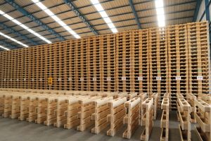 euro pallet dalam kontainer