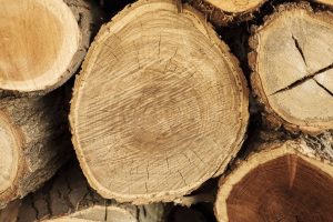 pallet kayu keras