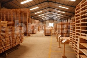 Pallet Kayu Baru