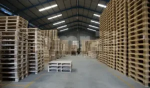 palet kayu pinus