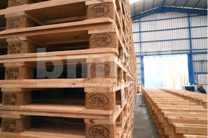 Standar Ekspor Packaging
