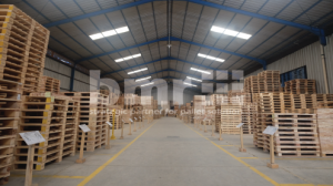 Pentingnya Memilih Pallet Ekspor