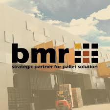 BMR